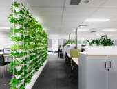 Cách chọn cây trồng văn phòng cho không gian làm việc thêm xanh mát